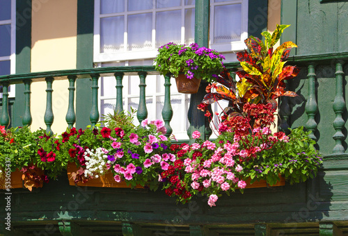Balcones con flores en Santa Cruz de La Palma, Islas Canarias photo