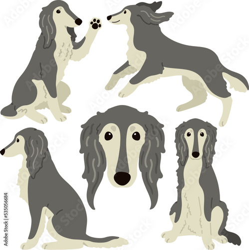 Simple and adorable Saluki dog illustrations flat colored