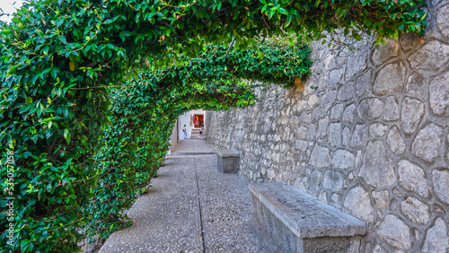 Callejuela empedrada con arcos de enredadera en lateral de la iglesia de Altea. photo