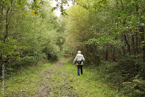 a women walks at a path in a beautiful green forest after rain in autumn