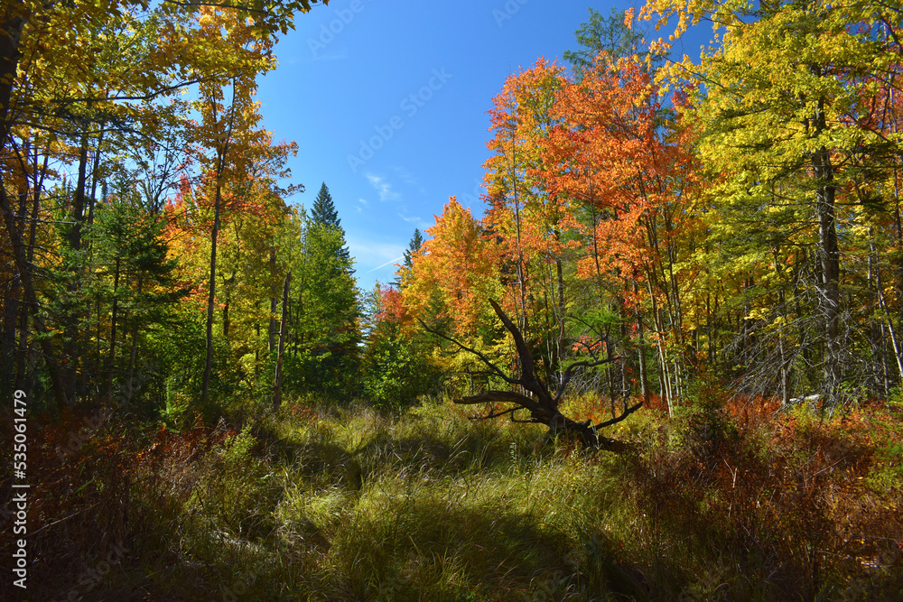 Fototapeta premium La Plaine 2 Octobre 2022