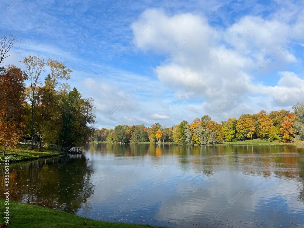 autumn trees reflection on the surface of the pond in the park, golden fall autumn trees reflection on the surface of the pond in the park, golden fall