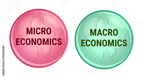 Vector set of two icons or symbols of micro economics or microeconomics and macro economics or macroeconomics isolated. Branch of economics – decision-making of market entities and economy as a whole. photo