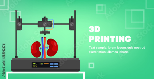 kidneys model prints on 3d bio printer medical printing of human transplantation organ biological engineering bioprinting