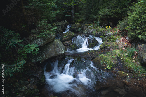 Fototapeta Naklejka Na Ścianę i Meble -  Rzeka Wilczka, górska rzeka w Sudetach, las na zboczach Śnieżnika, Międzygórze