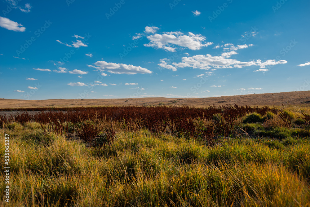 Prairie grass and sky