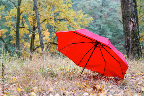 Fototapeta Naklejka Na Ścianę i Meble -  Red umbrella in the autumn forest. Autumn Concept