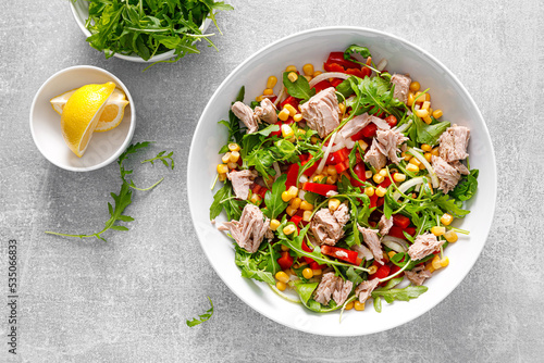 Canned tuna salad with arugula and fresh vegetables, top view photo