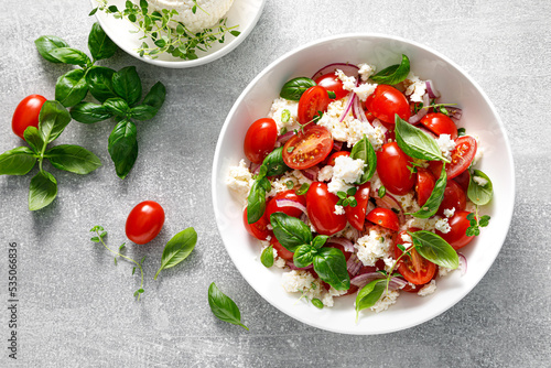 Salad with tomato  italian ricotta cheese and basil  top view