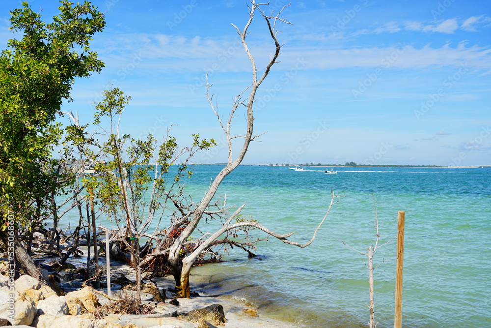Beautiful Sanibel island beach in Fort Myers, Florida, USA Beautiful Sanibel island beach in Fort Myers, Florida, USA