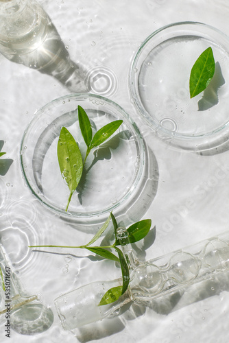 Laboratory glassware, Petri dishes floating on surface of the water on white background. Natural medicine, cosmetic research, bio science, organic skin care products. Top view, flat lay.Dermatology