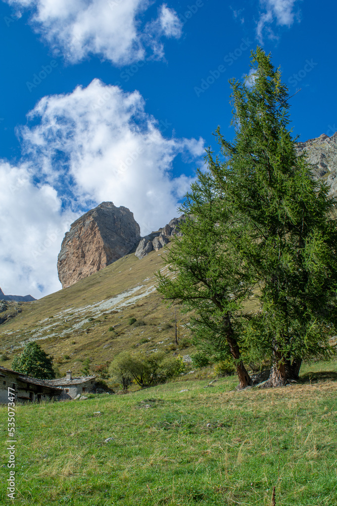 Nel vallone di Bellino, tra Rocca Senghi ed ilMonte Maniglia (alta Valle Varaita, provincia di Cuneo)