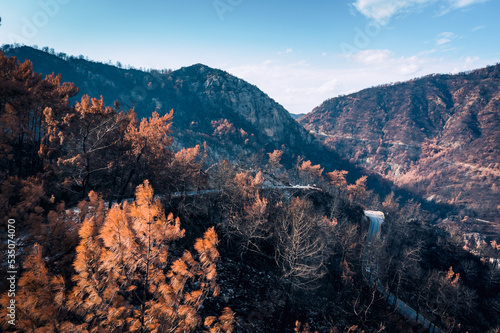 Summer landscape in Marmaris and Icmeler. Burnt coniferous trees. Forest after big fires in Turkey.