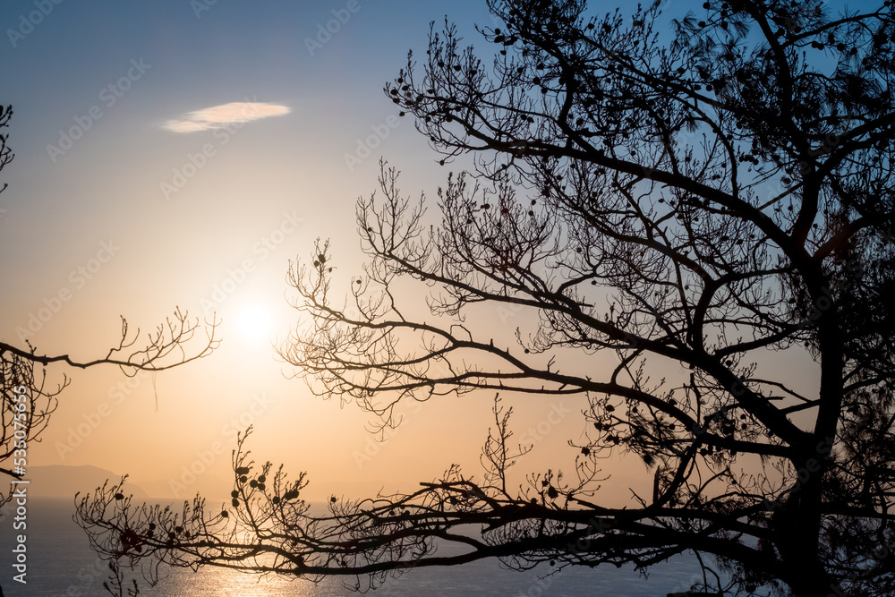 Morning landscape overlooking the sea through the silhouettes of tree branches. The rays of the morning sun through the branches. Soft morning light. Turkey, Turunk Morning landscape overlooking the sea through the silhouettes of tree branches. The rays of the morning sun through the branches. Soft morning light. Turkey, Turunk