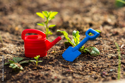mini shovel and watering can, plastic toys in the soil