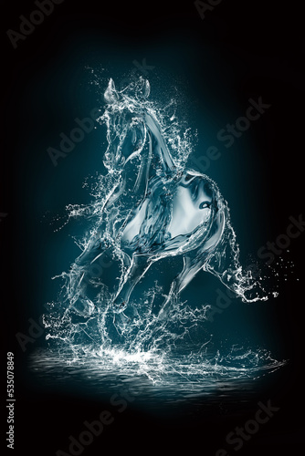Water horse 3 © haidi2002