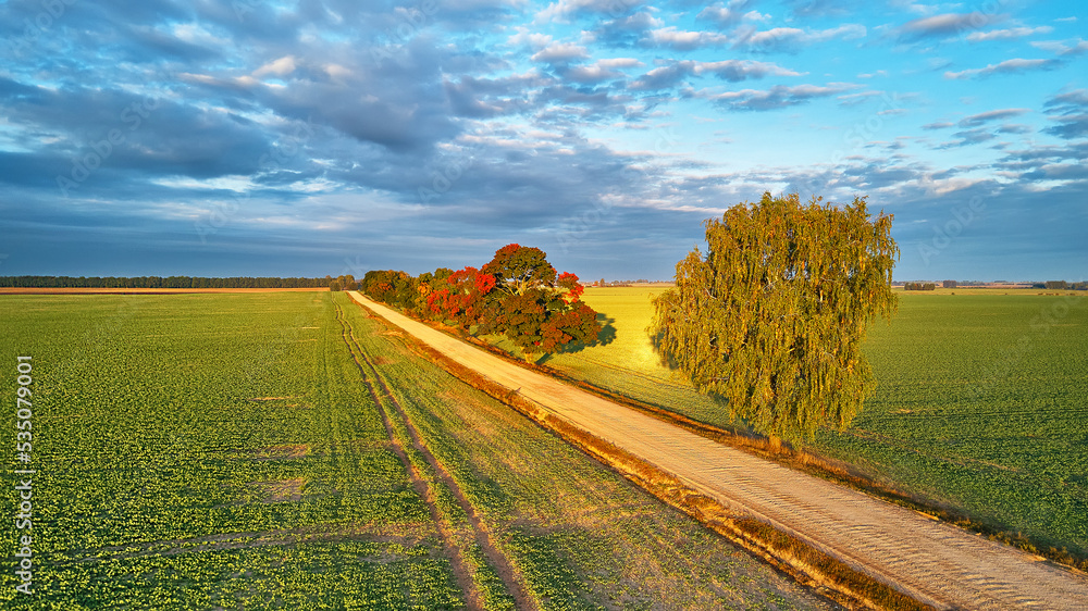 Fall colors maple trees, dirt road, agriculture fields. Autumn rural landscape. September sunny morning. Clouds on sky, shadows from trees