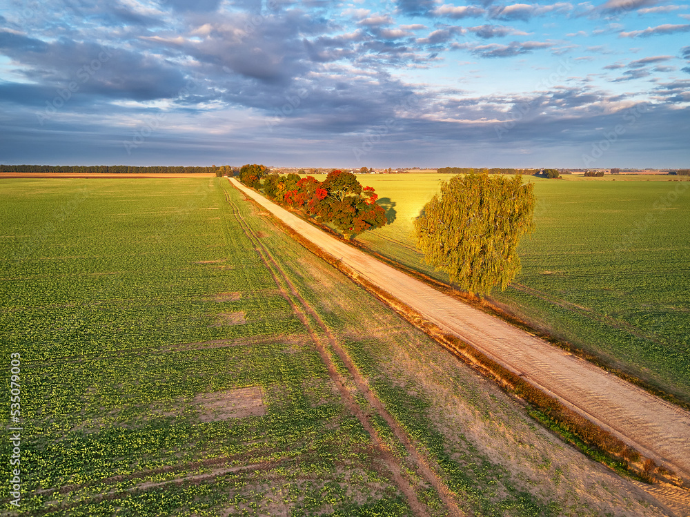 Fall colors maple trees, dirt road, agriculture fields. Autumn rural landscape. September sunny morning. Clouds on sky