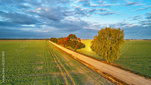 Obraz na płótnie Fall colors maple trees, dirt road, agriculture fields. Autumn rural landscape. September sunny morning. Clouds on sky, shadows from trees w salonie