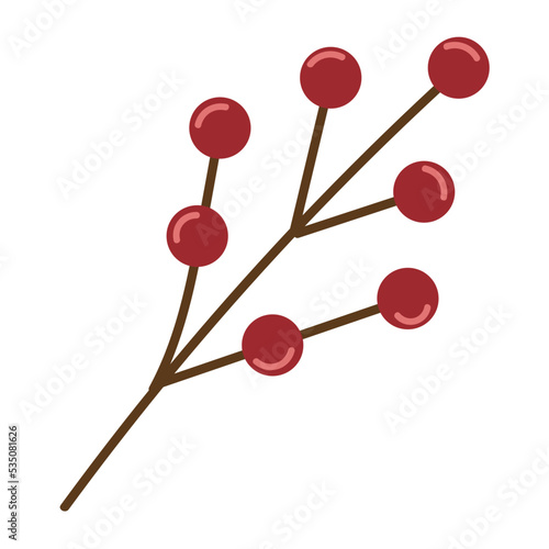 branch with berries © djvstock