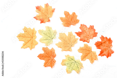 Autumn composition. Dried leaves on white background. Autumn, fall, thanksgiving day concept. Flat lay, top view, copy space