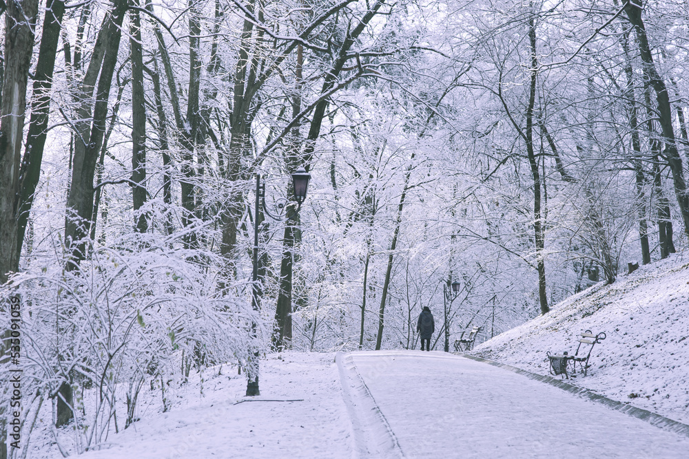 Winter seasonal outdoor background: white alley in frozen park, snow covered trees, bushes, benches, lanterns after snowfall and woman figure moving into a distance - snowy landscape, mood of december Winter seasonal outdoor background: white alley in frozen park, snow covered trees, bushes, benches, lanterns after snowfall and woman figure moving into a distance - snowy landscape, mood of december