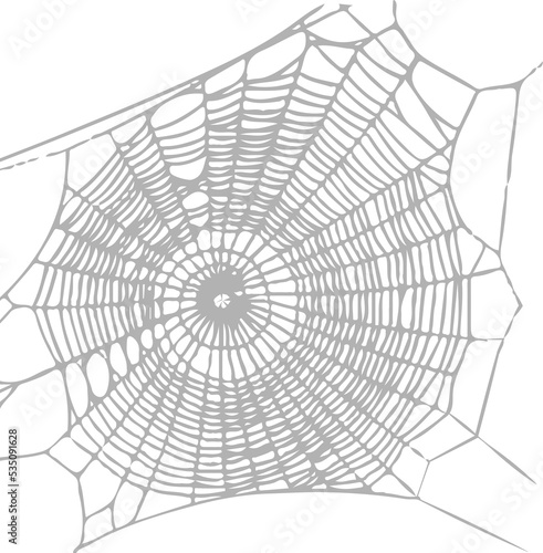 Illustrated Spider Web
