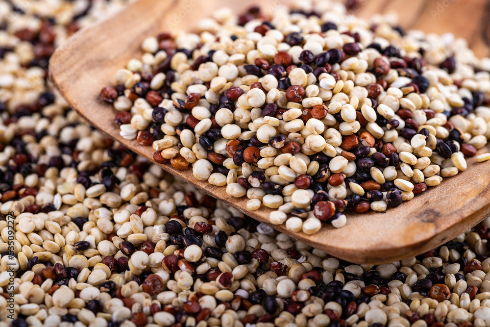 Red, white and brown quinoa seeds background, macro closeup Red, white and brown quinoa seeds background, macro closeup