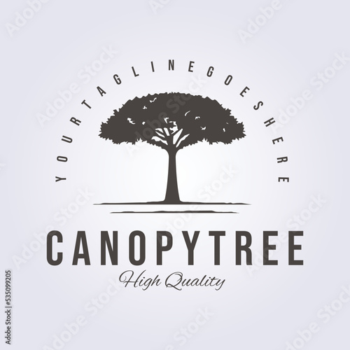 Canopy tree service retro style logo vintage classic vector illustration design