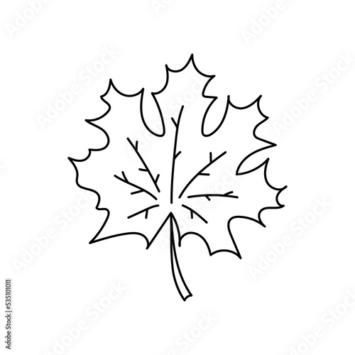 Forest maple leaf isolated. Vector illustration. Black and white. Coloring book - simple icon