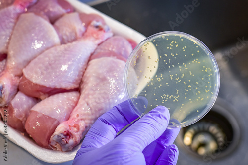Meat/Chicken contamination with bacteria