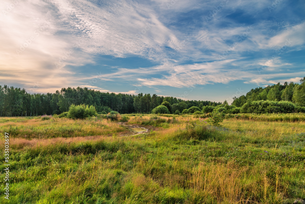 Sunset in summer field