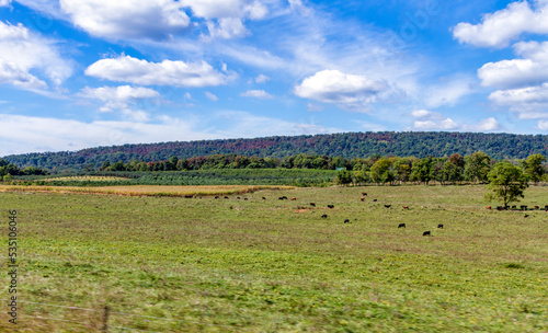 field in the blue ridge