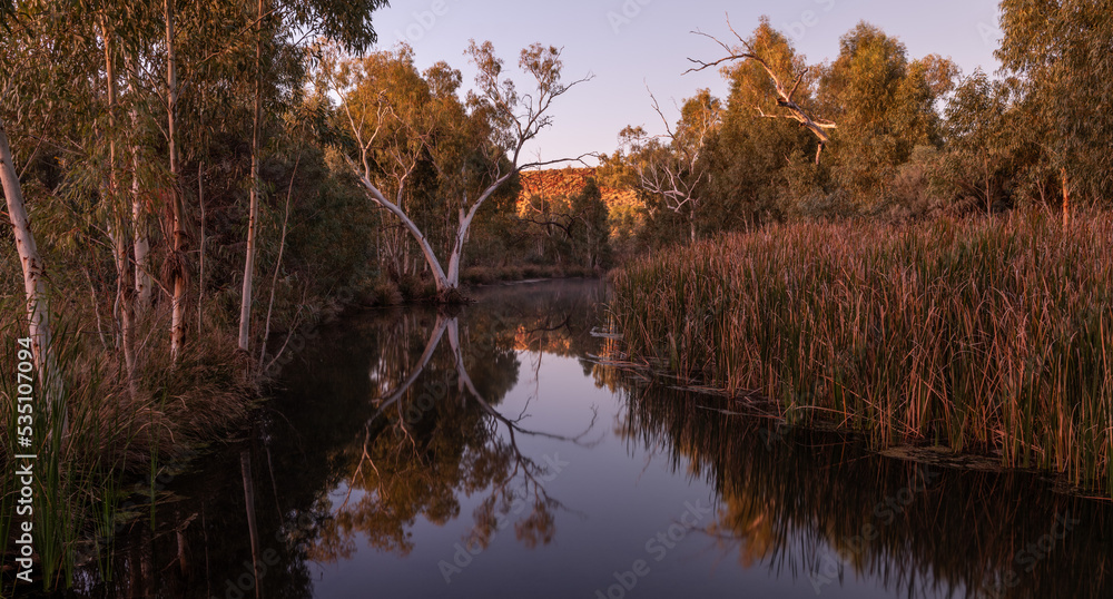 Obraz premium early morning mist, spring fed pool, Kolgan Creek