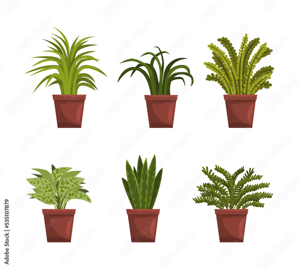 Set of decorative houseplant. House or office plant interior design vector illustration Set of decorative houseplant. House or office plant interior design vector illustration