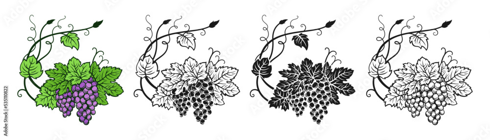 Fototapeta premium Grape branch and leaf monochrome vintage set. Sketch ink hand drawn outline wine cluster grapes. Antique engraving design berry. Sketches for wine packing, label, menu, invitation card, poster cover