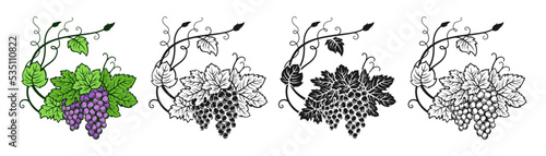 Grape branch and leaf monochrome vintage set. Sketch ink hand drawn outline wine cluster grapes. Antique engraving design berry. Sketches for wine packing, label, menu, invitation card, poster cover