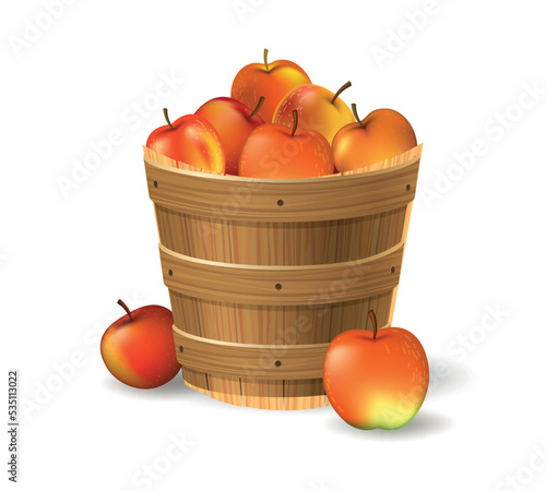 Apples bucket illustration