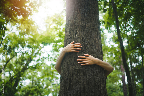 young woman tree hugging in the forest in concept of people love nature and tree to protect from deforestation and pollution or climate change