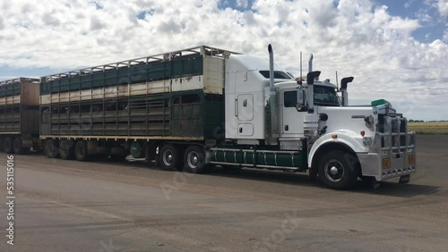 Large cattle trailer road train. photo