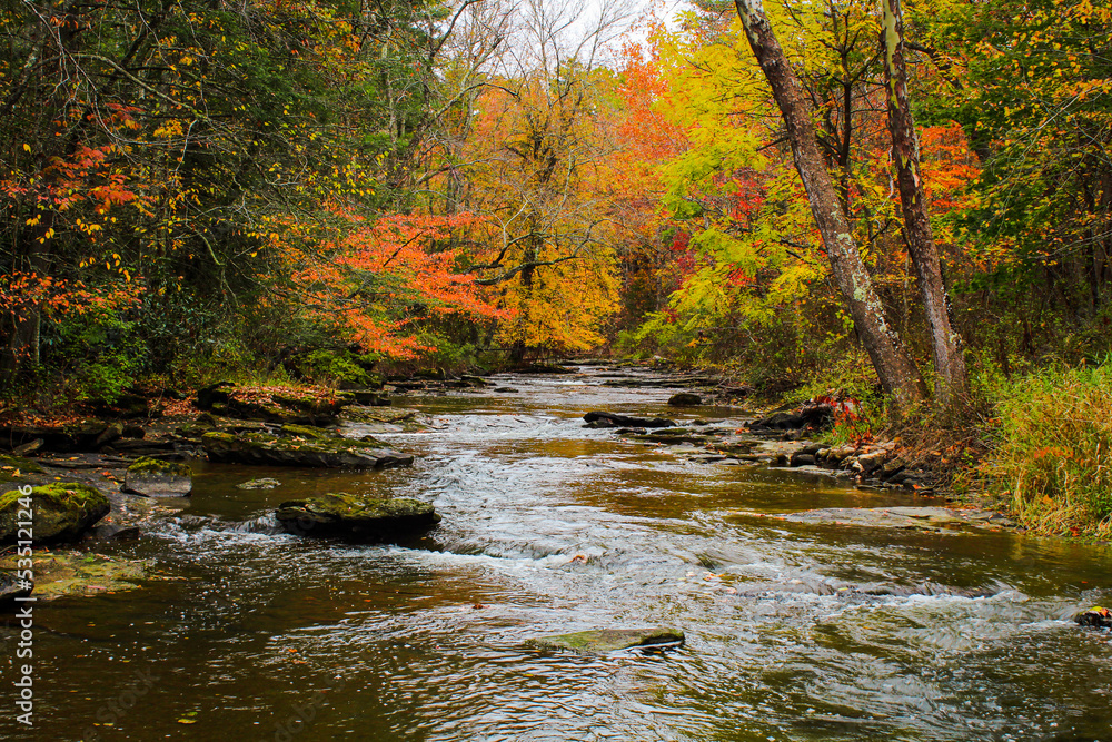 Fall colors along the creek