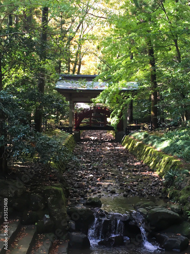 玉の橋（新潟　彌彦神社）