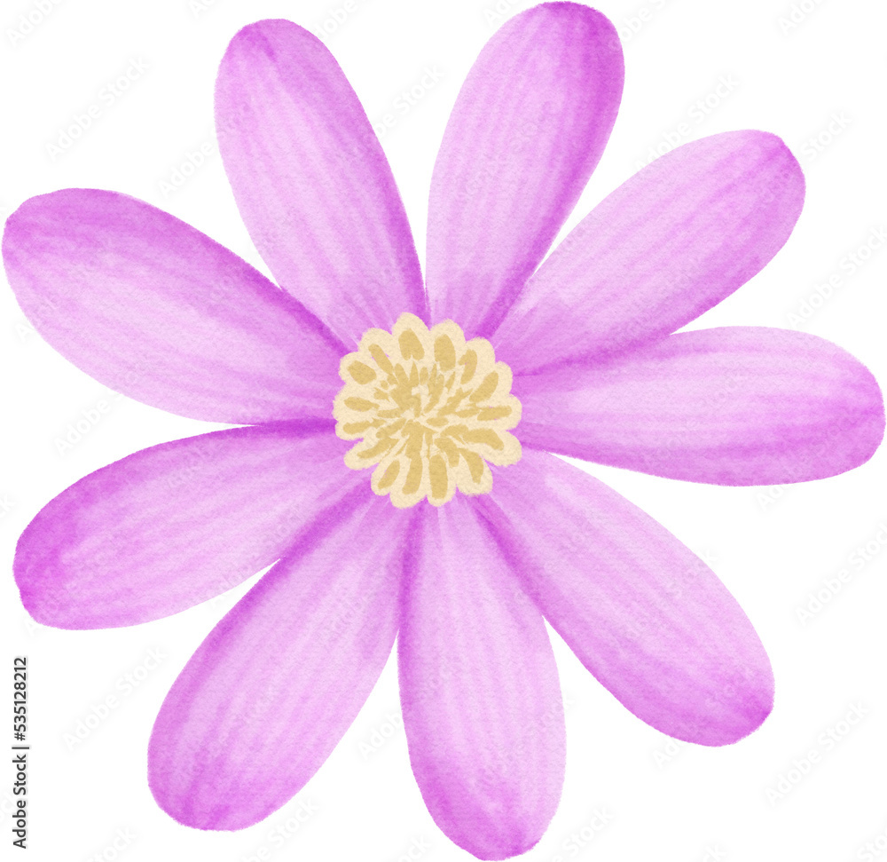 Fototapeta premium digital watercolor clipart pastel flower 