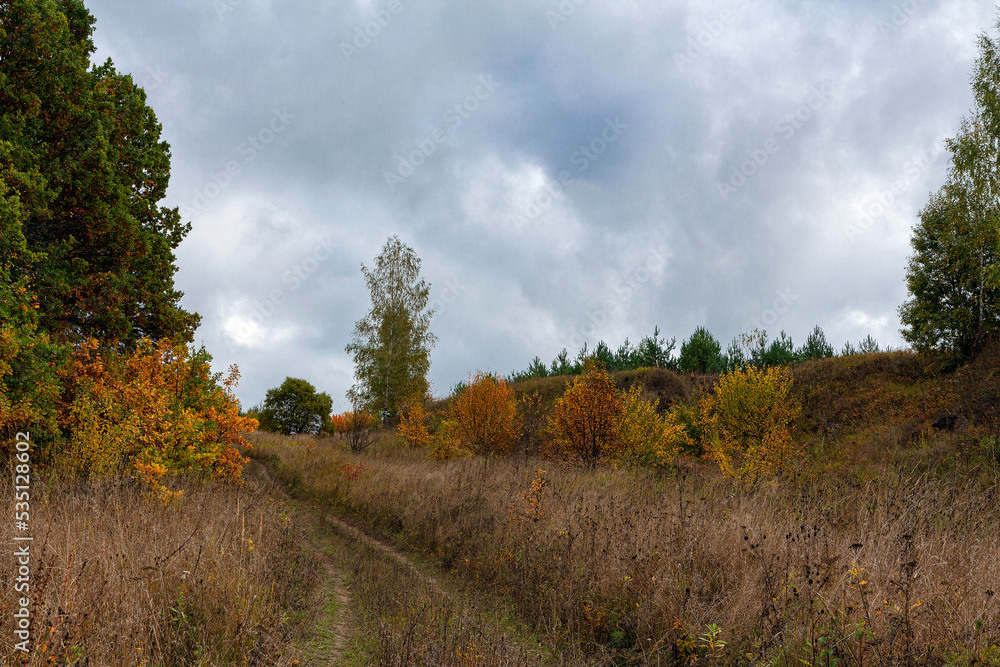 Autumn forest road goes into the blue sky. Autumn forest road goes into the blue sky.