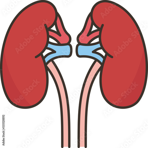 kidney icon