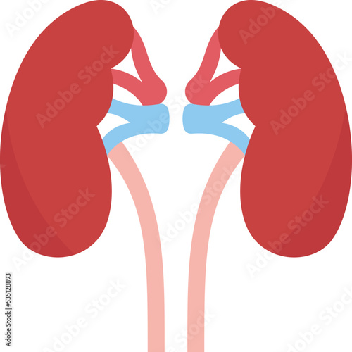 kidney icon