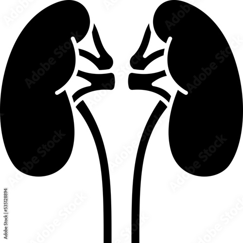 kidney icon