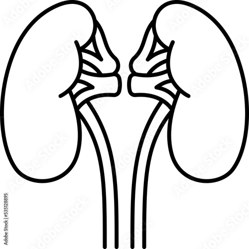 kidney icon