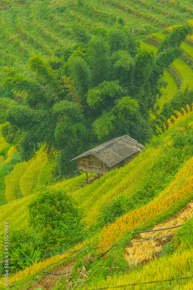 Aerial view of golden rice terraces at Mu cang chai town near Sapa city, north of Vietnam. Beautiful terraced rice field in harvest season in Yen Bai, Vietnam