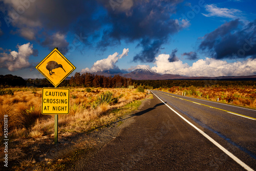 Road sign Kiwi crossing in Tongariro National Park, New Zealand photo